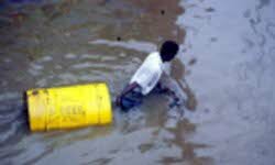 Carbon Offset Projects Being Initiated to Fight Global Warming and Poverty
